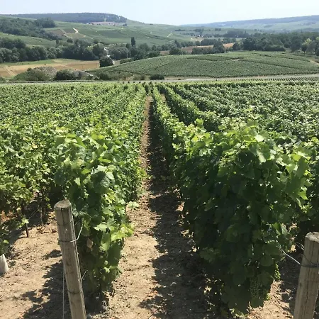 Le Secret De Louise Épernay
