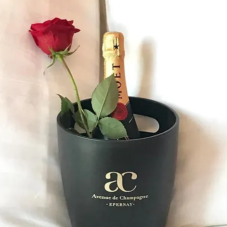 Le Secret De Louise 아파트 *